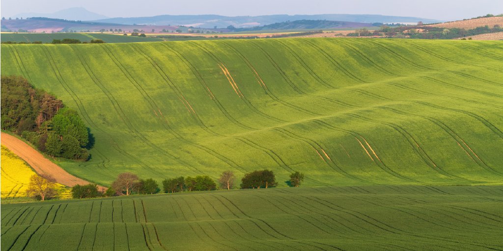 far-reaching-fields-100
