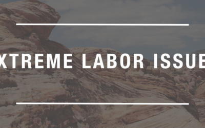 2021: Financial & Business Strategy in a Time of Extreme Labor Issues