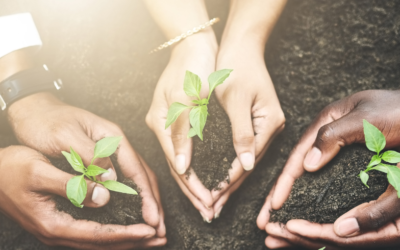Four habits all high-performing landscape companies share