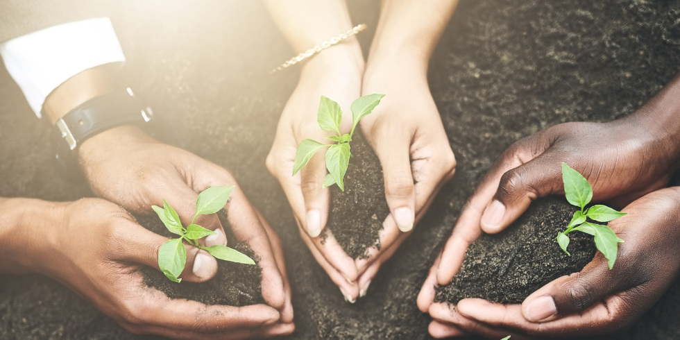 Growth-from-leadership