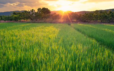 Private equity and making a ‘green exit’