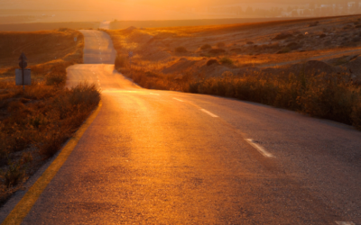 BrightView: The Turnaround Continues